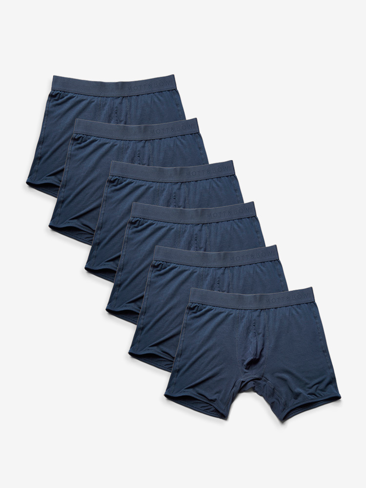 Boxer-Brie_NVx6_750x1000_b420bcfb-353b-47b9-8bbf-af0ee643dc0e.png
